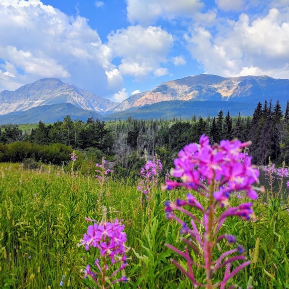 Welcome! - Picture 3 of 7